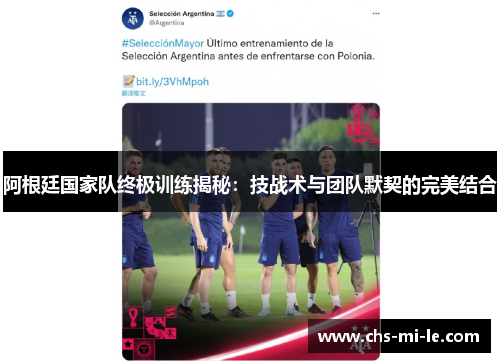 阿根廷国家队终极训练揭秘：技战术与团队默契的完美结合