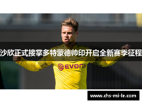 沙欣正式接掌多特蒙德帅印开启全新赛季征程